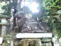 DSC00187.JPG